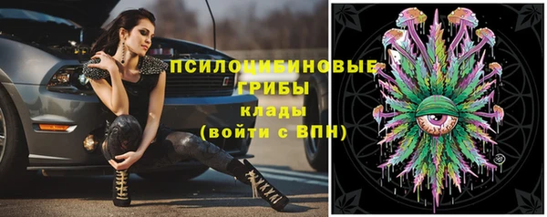 стафф Волоколамск