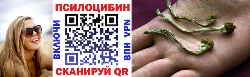 mega зеркало Вытегра Галлюциногенные грибы прущие грибы
