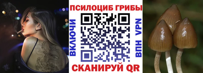 Галлюциногенные грибы ЛСД Вытегра